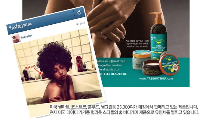 (주)슈가트리 이미지