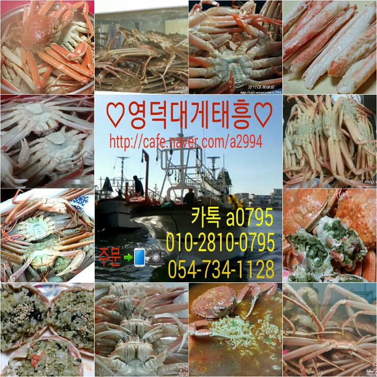 영덕대게 이미지