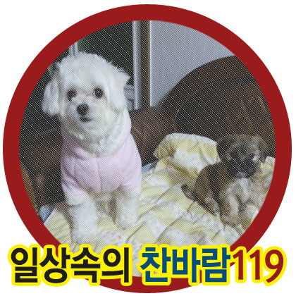개똥이 이미지