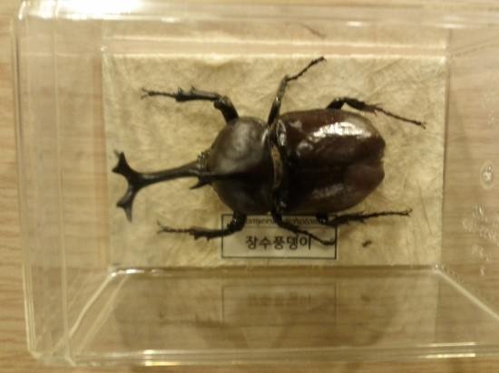 커피에빠진장풍이 이미지