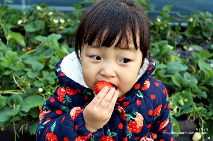 (주)행복한농장 이미지