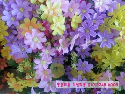 고운리폼수선 이미지
