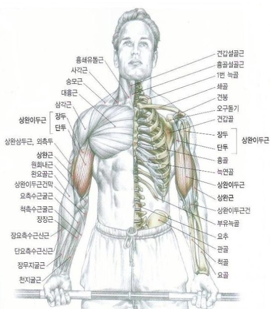 (주)바벨 이미지