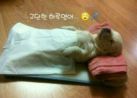 제일카센타 이미지