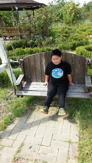 햇빛여행사 이미지