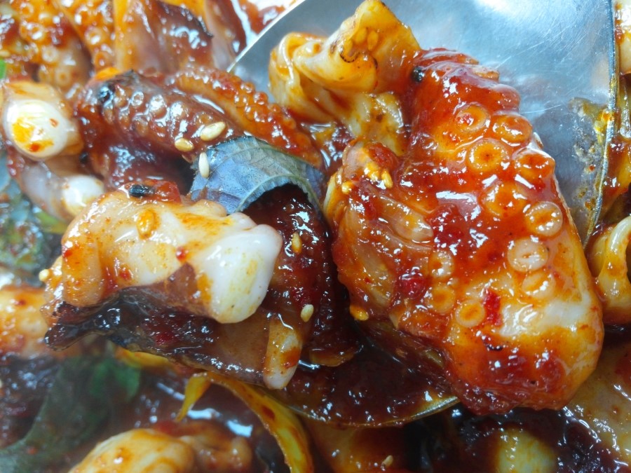 들향기칼국수쭈꾸미 이미지