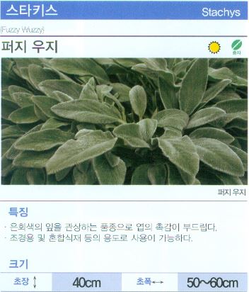 한농종묘 이미지