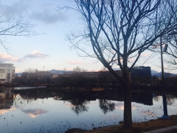 파스쿠찌광천 이미지