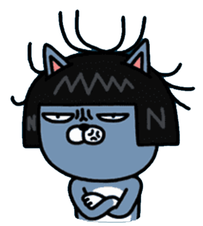 스틸콩 이미지