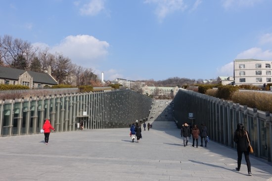닥터세이지 이미지