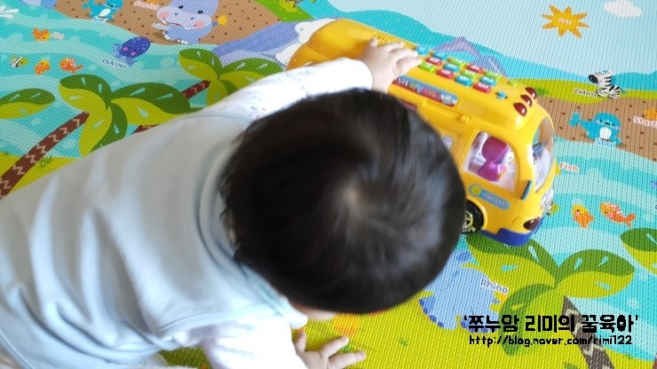 도담댕기 이미지