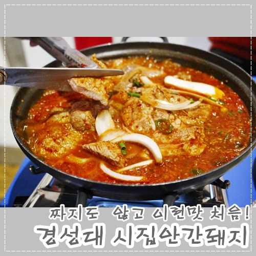 시집안간돼지 이미지