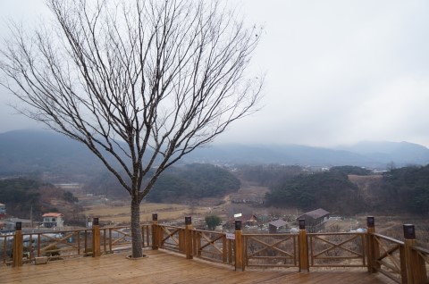 홍차가게안단테 이미지