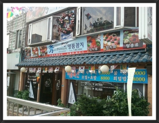 수참치 이미지