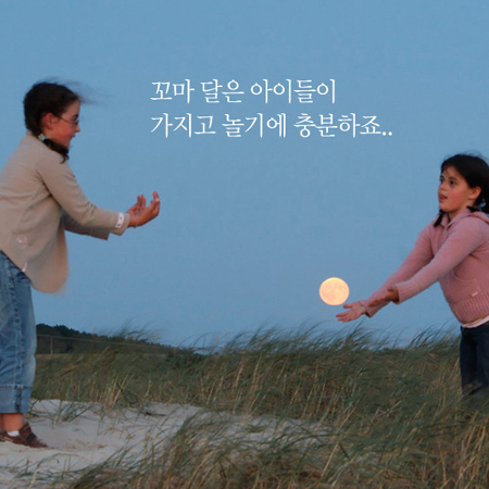 태양과일 이미지