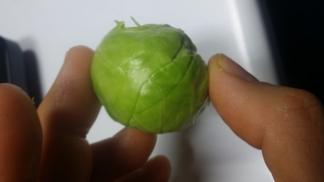 평화농장 이미지