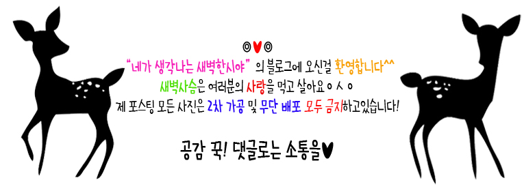 우강민물장어 이미지