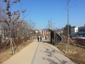 대구선아양공원 이미지