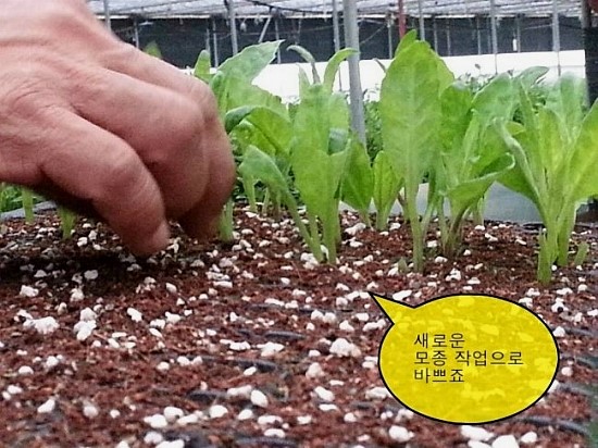 마리샵 이미지