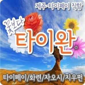 푸른항공여행사 이미지