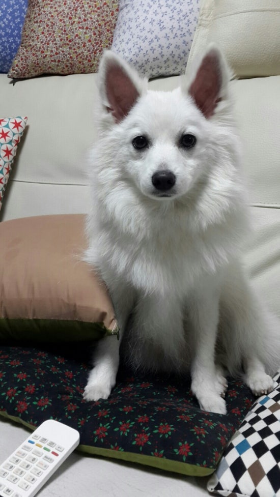 봉이네 이미지