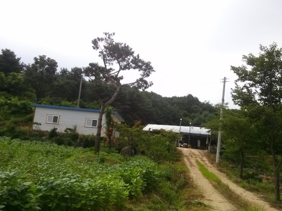 강원도농업기술원 이미지