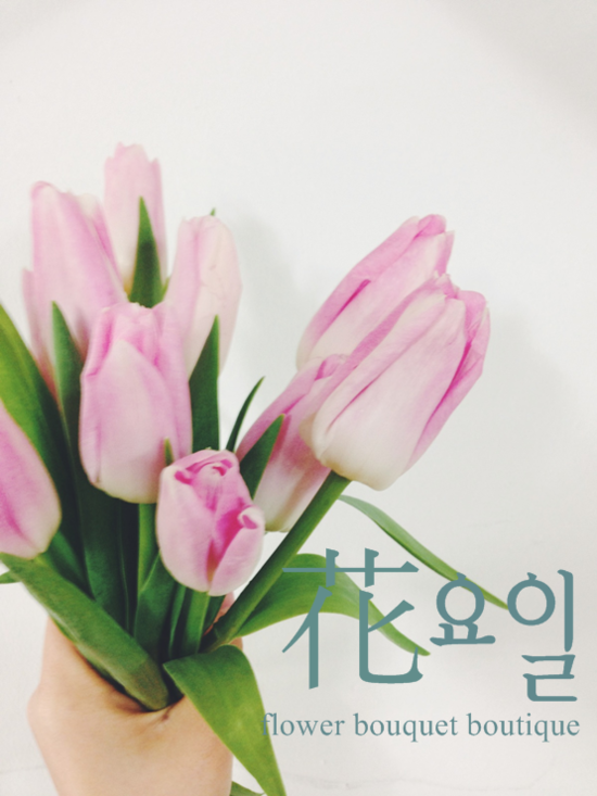 꽃집화요일 이미지