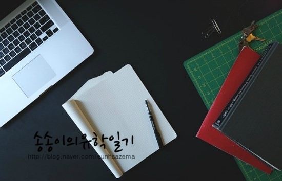 미래유학연수 이미지