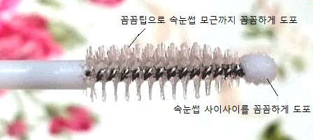 엘앤에스 컴퍼니 이미지