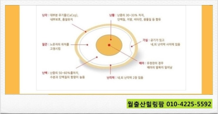 월출산힐링팜 이미지