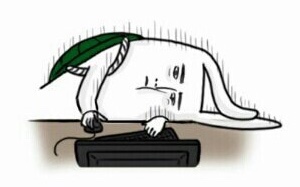 놀부전 이미지