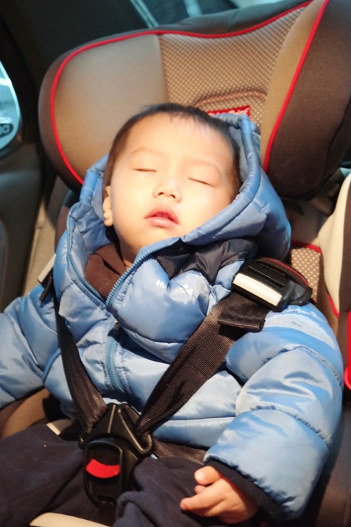 고고GoGo 이미지