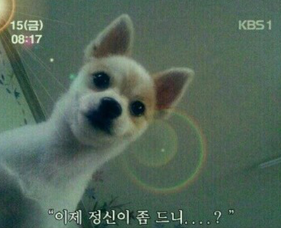 공감 이미지