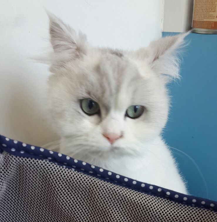(주)셔리 이미지
