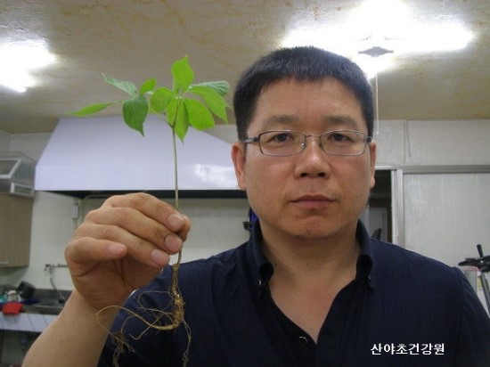 산야초건강원 이미지