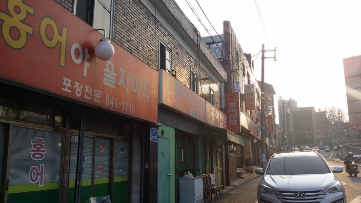 홍어야울지마라 이미지