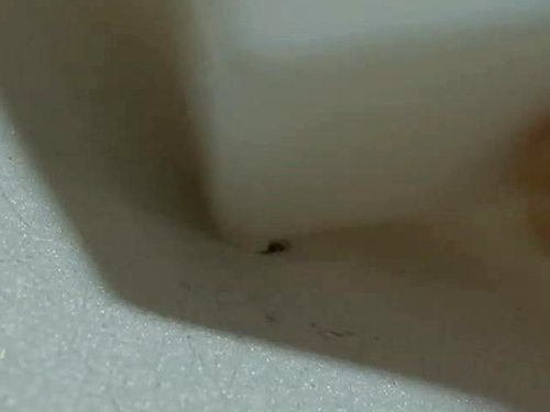 알뜰청소 이미지