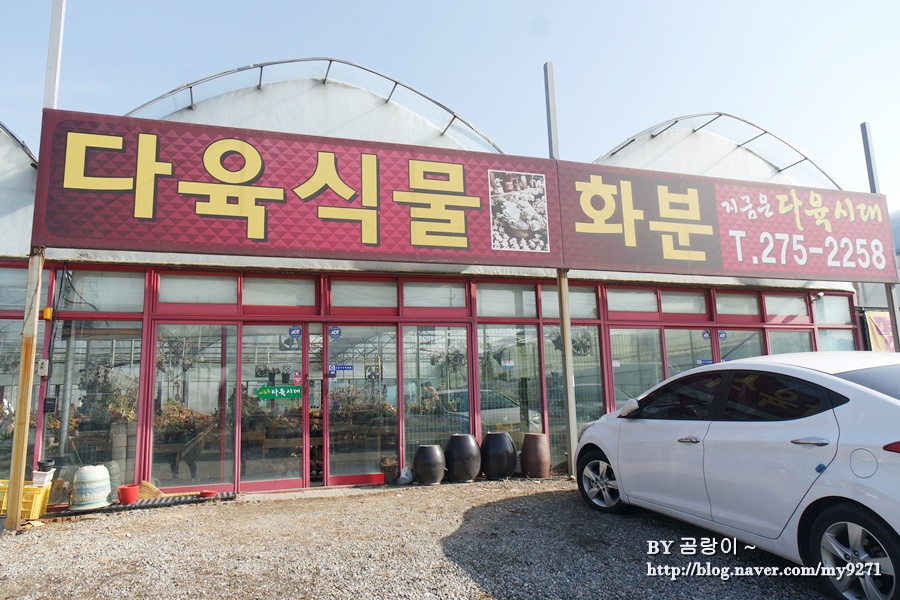 지금은다육시대 이미지