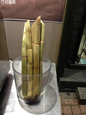 the 쫑포 이미지