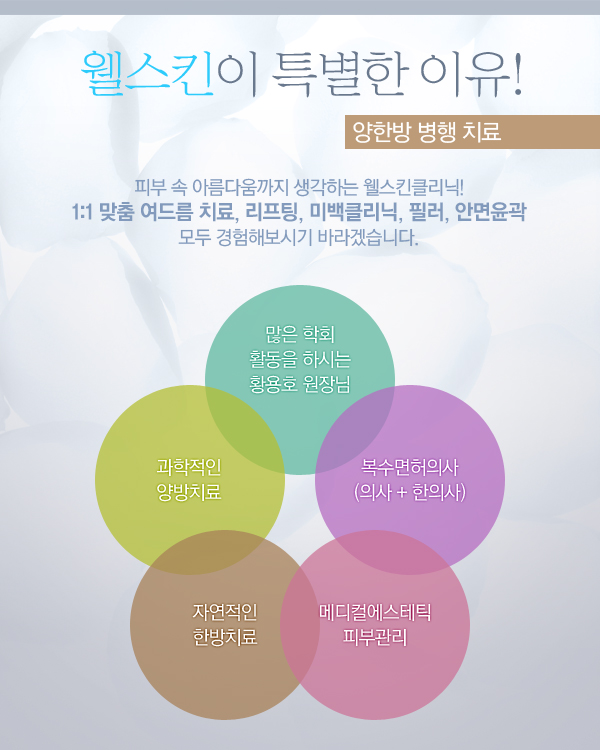 웰스킨 이미지