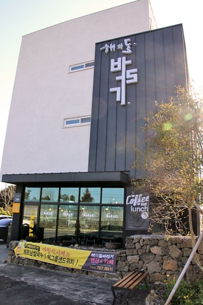 국수바라기 이미지