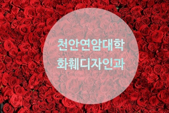 고도꽃화훼 이미지