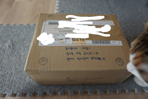 참치아리 이미지