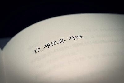 홍돼지 이미지