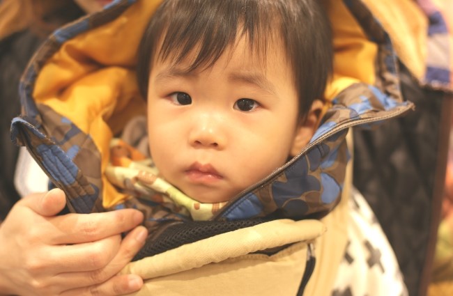 롯데대전리바이스 이미지