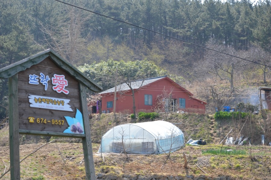 농어촌체험농장 이미지