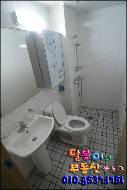 호산나가스 이미지