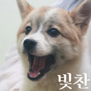 두식이 이미지