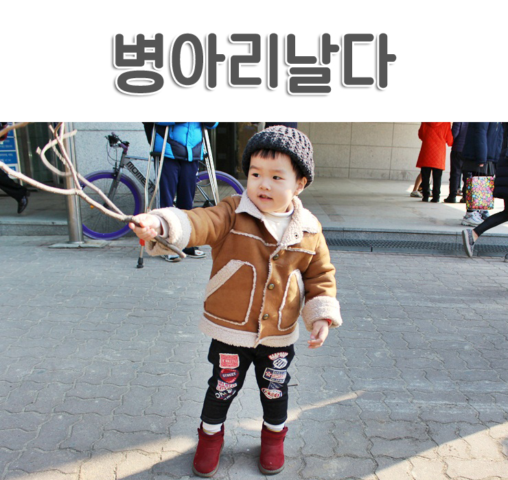 병아리날다 이미지