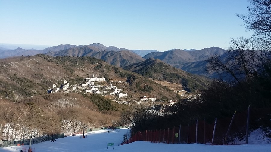 엠에스레포츠 이미지